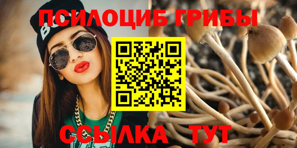 Псилоцибиновые грибы MAGIC MUSHROOMS Касимов