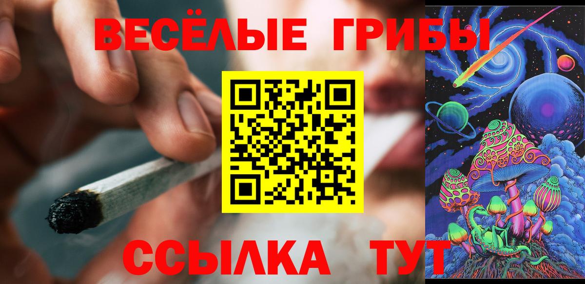 Касимов  Галлюциногенные грибы Psilocybine cubensis  Вход с VPN 